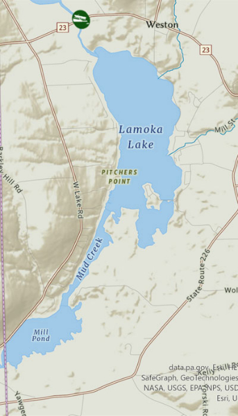 Lamoka